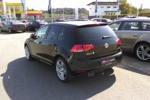 Golf rabbit temnenje stekel