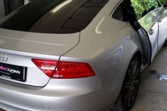 Audi temnenje stekel